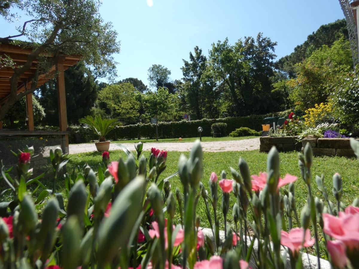 Antonella'S Home Cavallino-Treporti Buitenkant foto